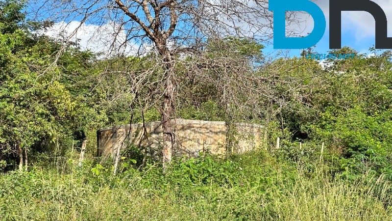 Fazenda à venda com 4 quartos, 56m² - Foto 25