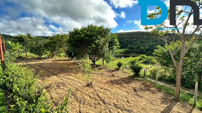 Fazenda à venda com 4 quartos, 56m² - Foto 6