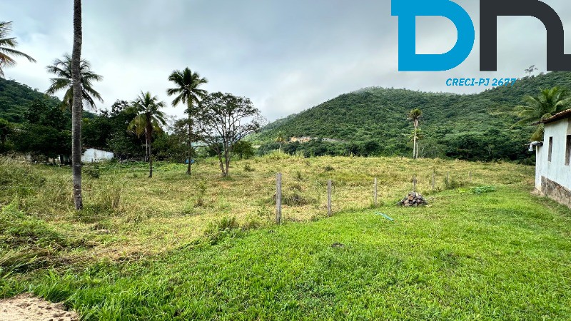 Fazenda à venda com 3 quartos, 30m² - Foto 10