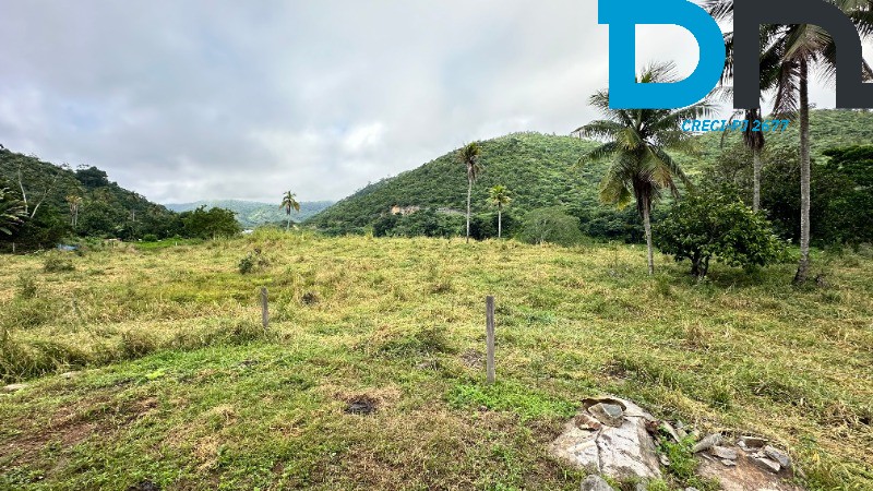 Fazenda à venda com 3 quartos, 30m² - Foto 13