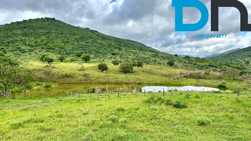 Fazenda à venda com 3 quartos, 1500m² - Foto 6