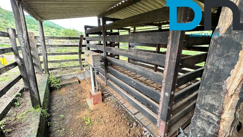 Fazenda à venda com 3 quartos, 1500m² - Foto 18