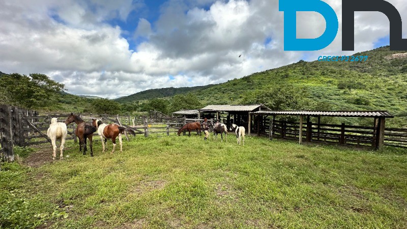 Fazenda à venda com 3 quartos, 1500m² - Foto 15