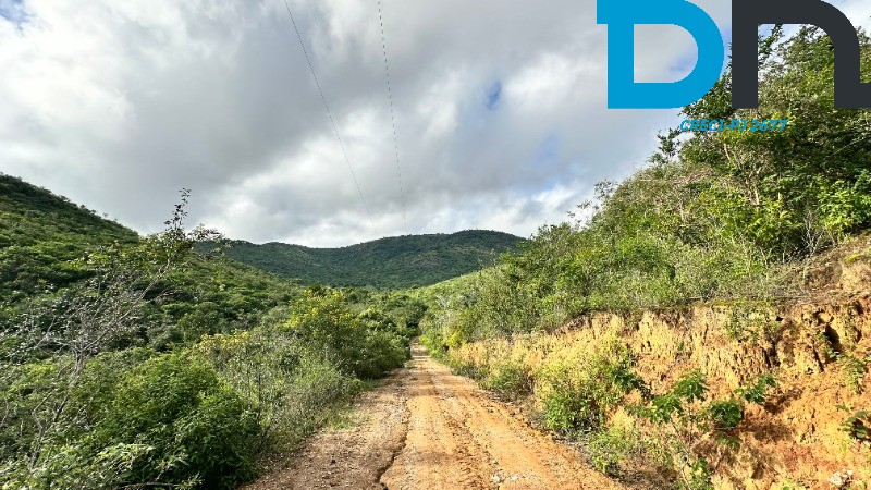 Fazenda à venda com 3 quartos, 1500m² - Foto 33