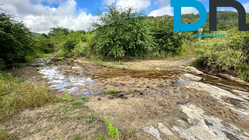 Fazenda à venda com 3 quartos, 1500m² - Foto 24