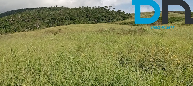 Fazenda à venda com 3 quartos, 1500m² - Foto 43