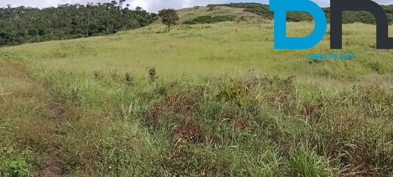 Fazenda à venda com 3 quartos, 1500m² - Foto 46