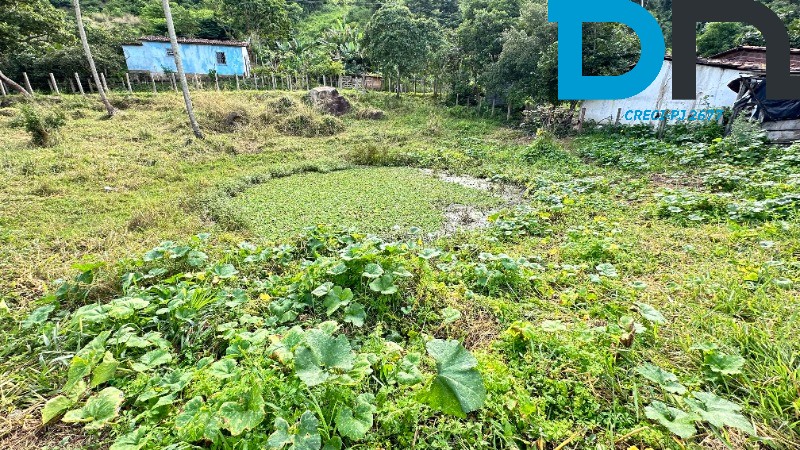 Fazenda à venda com 3 quartos, 30m² - Foto 11