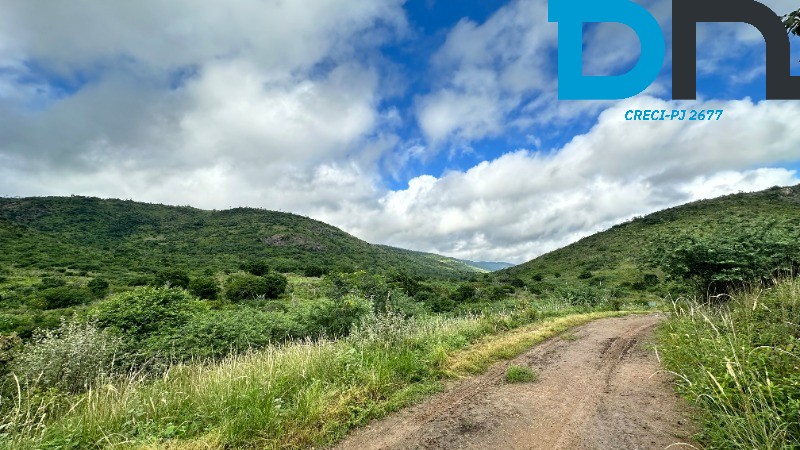 Fazenda à venda com 3 quartos, 1500m² - Foto 35