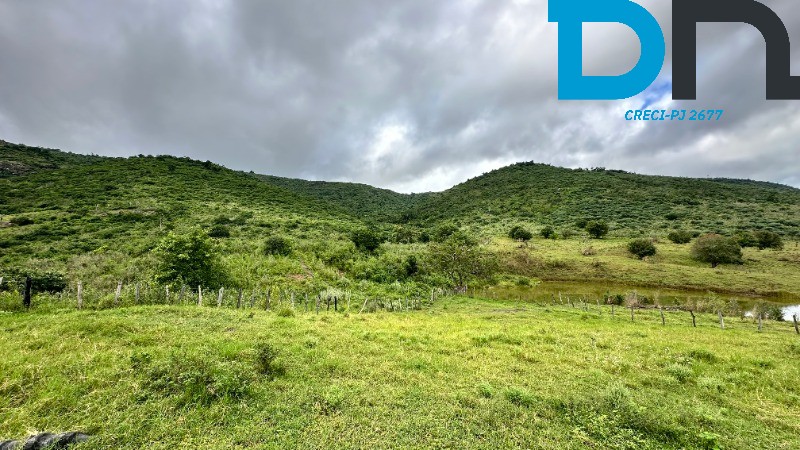 Fazenda à venda com 3 quartos, 1500m² - Foto 7