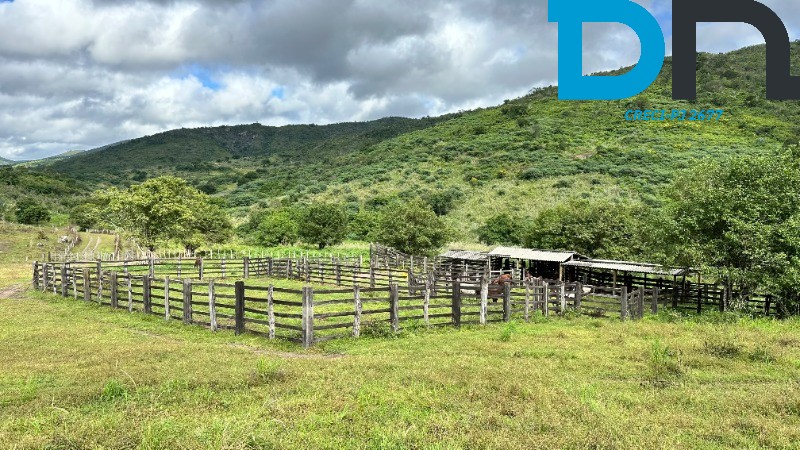 Fazenda à venda com 3 quartos, 1500m² - Foto 14