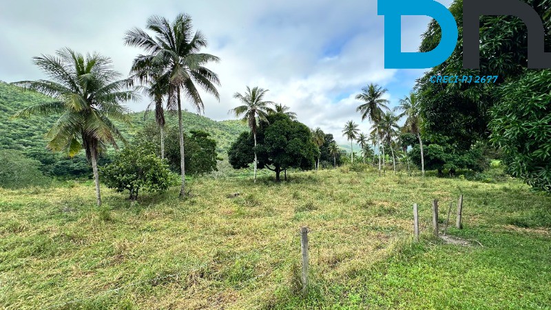 Fazenda à venda com 3 quartos, 30m² - Foto 14