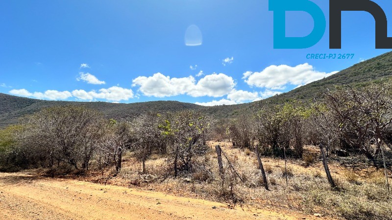 Fazenda à venda com 2 quartos, 39m² - Foto 13