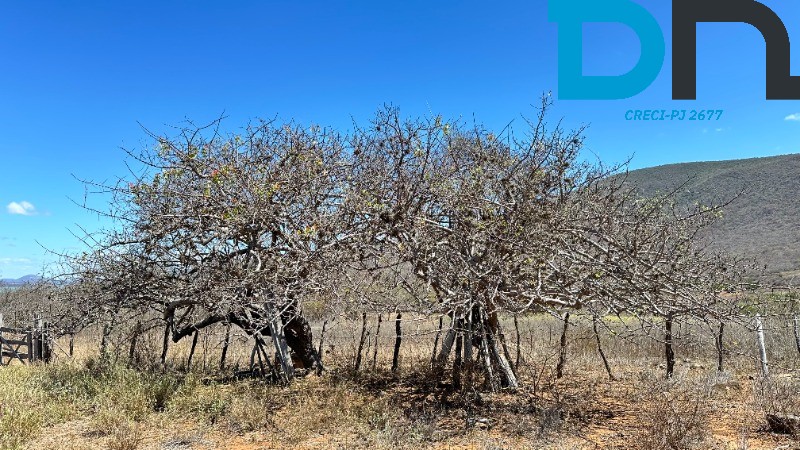 Fazenda à venda com 2 quartos, 39m² - Foto 14