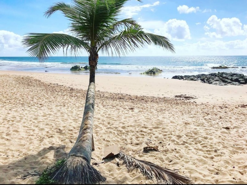 Casa à venda com 6 quartos - Foto 42