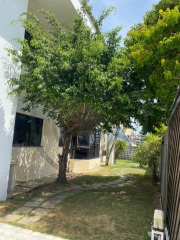 Casa à venda e aluguel com 5 quartos - Foto 6