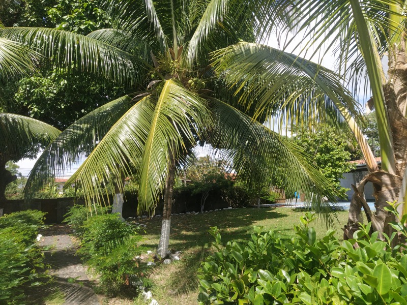 Casa à venda e aluguel com 7 quartos - Foto 1