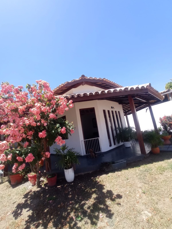 Casa à venda e aluguel com 3 quartos - Foto 3