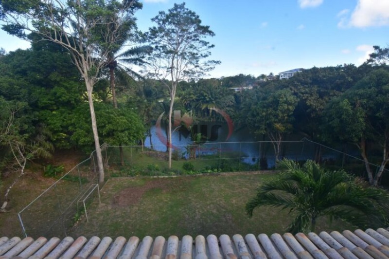 Casa à venda e aluguel com 3 quartos - Foto 6