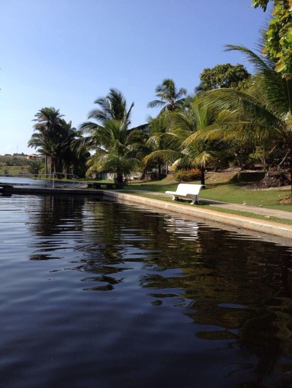 Casa à venda com 4 quartos - Foto 50