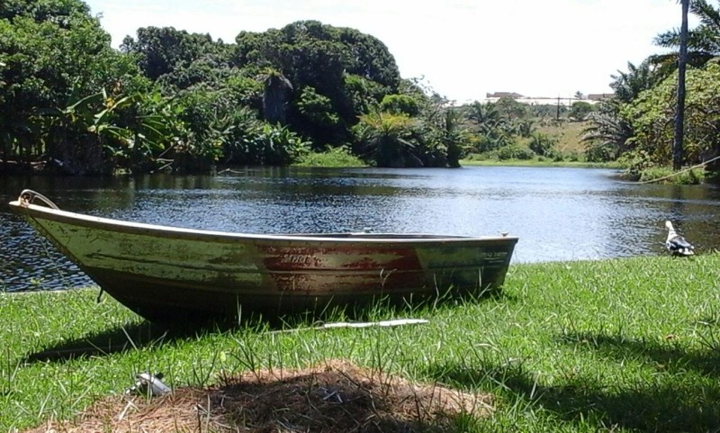 Casa à venda com 4 quartos - Foto 49