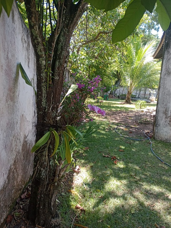 Casa à venda com 4 quartos - Foto 4