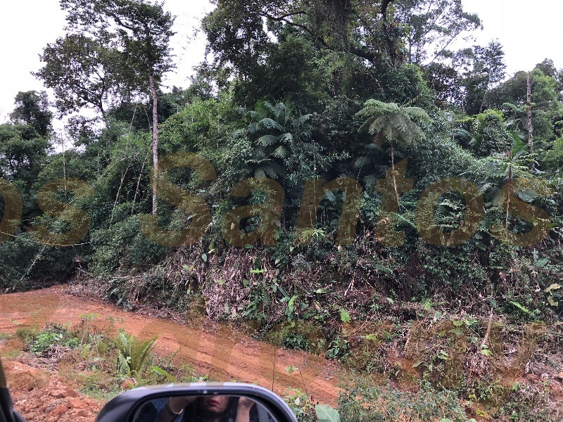 Imóvel — foto 2
