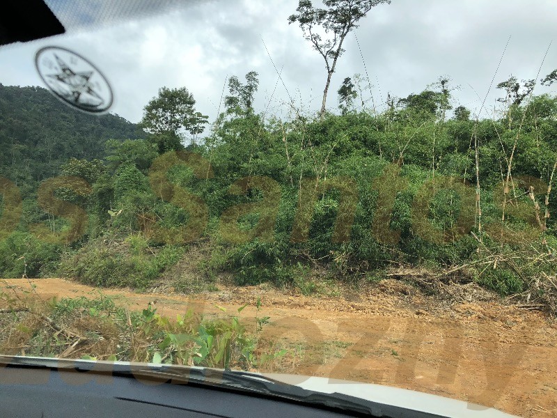 Imóvel — foto 4