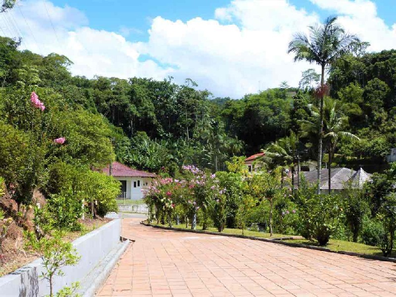 Imóvel — foto 4