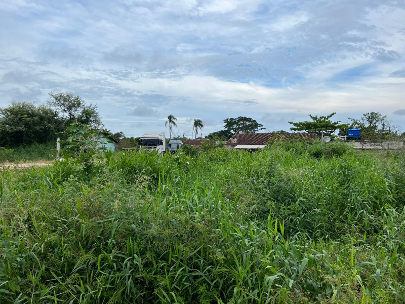 Terreno à venda, 300m² - Foto 2