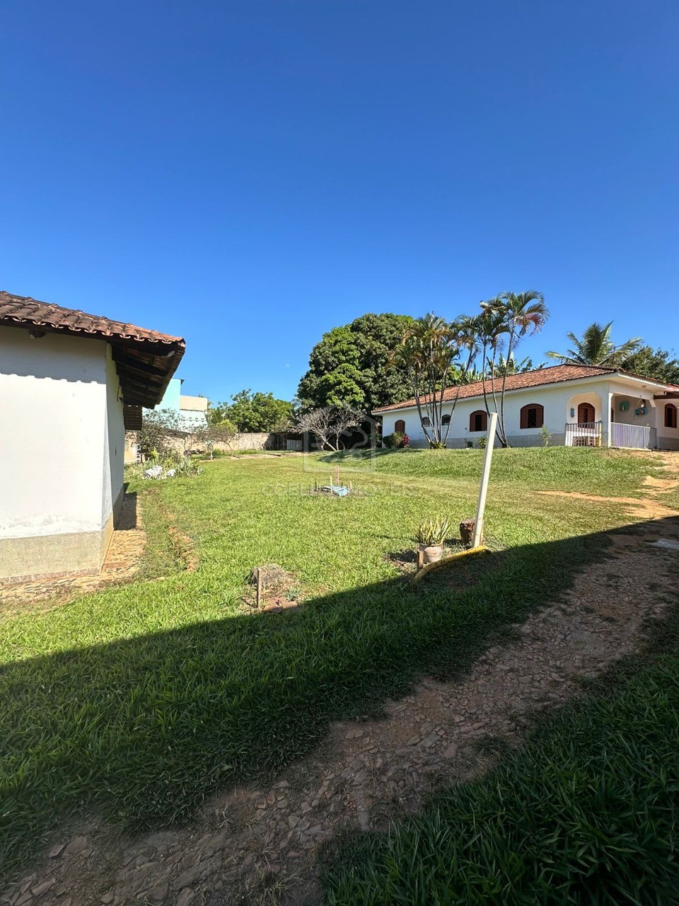 Terreno à venda, 3600m² - Foto 6