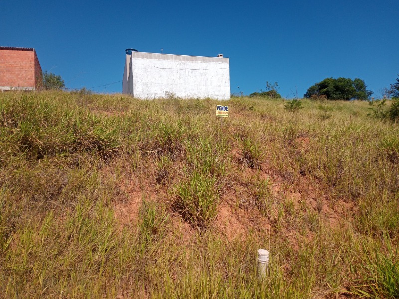 Terreno à venda, 250m² - Foto 3