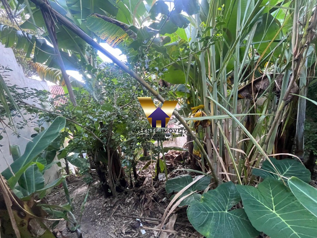 Terreno, 150 m² - Foto 6