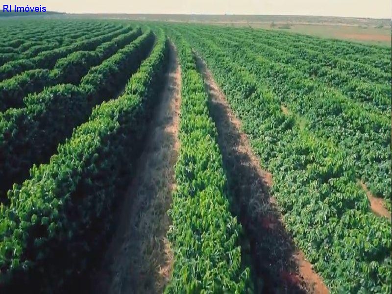 Fazenda à venda - Foto 1