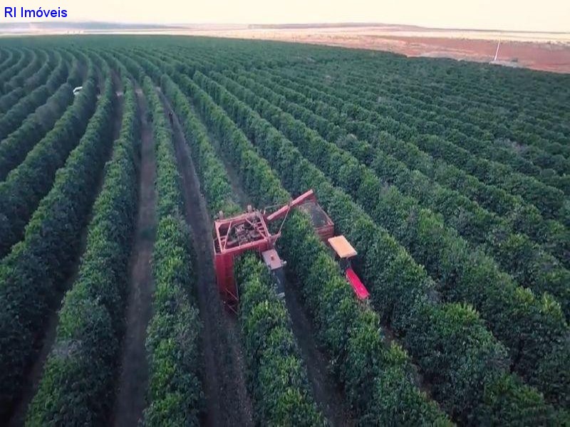 Fazenda à venda - Foto 2