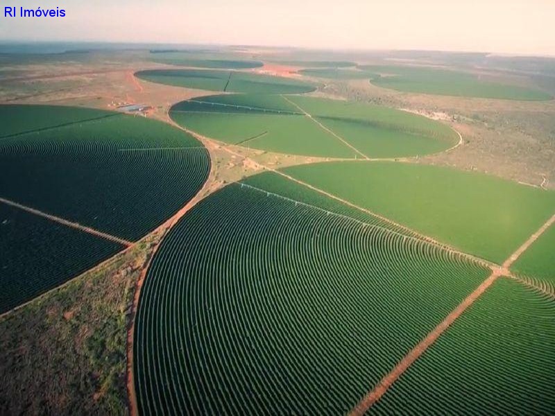 Fazenda à venda - Foto 7