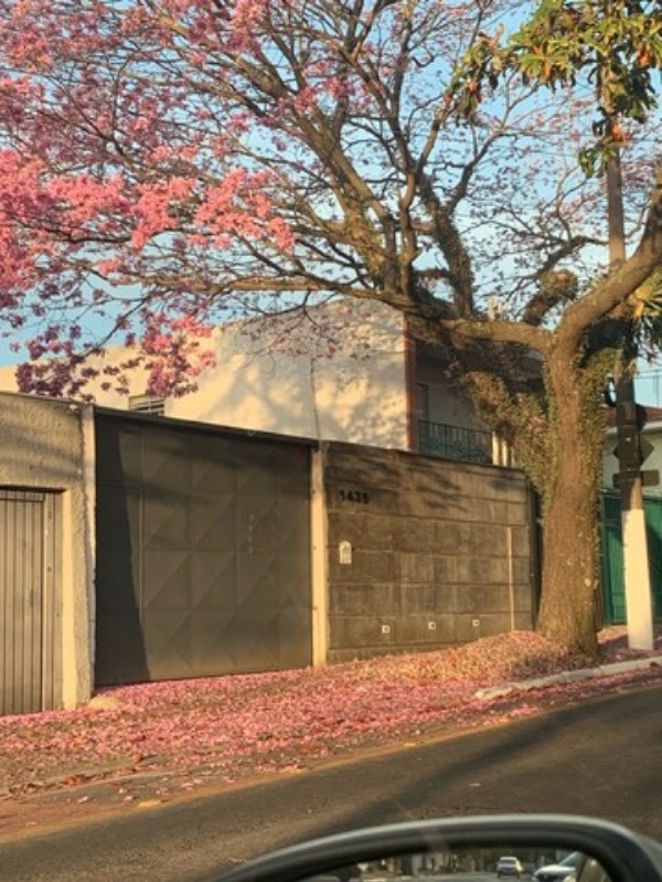 Terreno, 300 m² - Foto 2