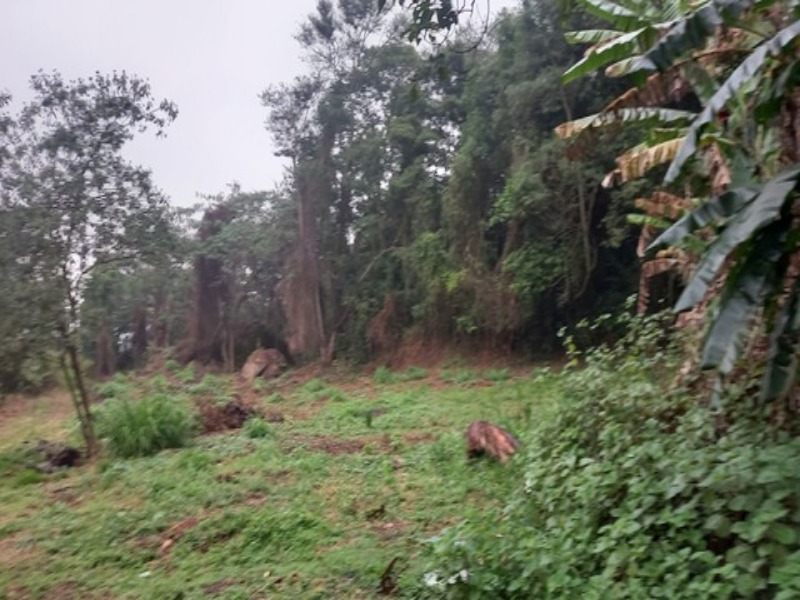 Terreno à venda, 6000m² - Foto 3