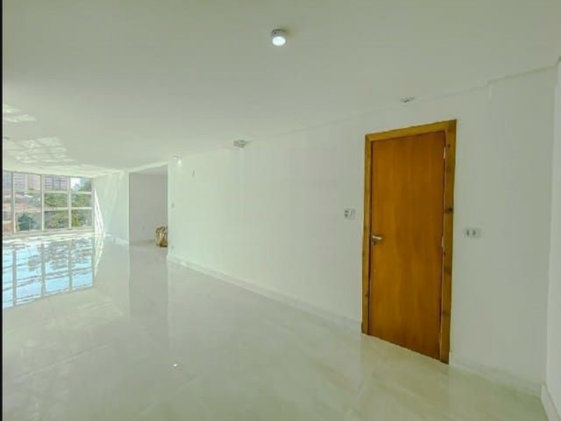 Apartamento, 4 quartos, 260 m² - Foto 3