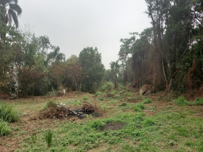 Terreno à venda, 6000m² - Foto 2