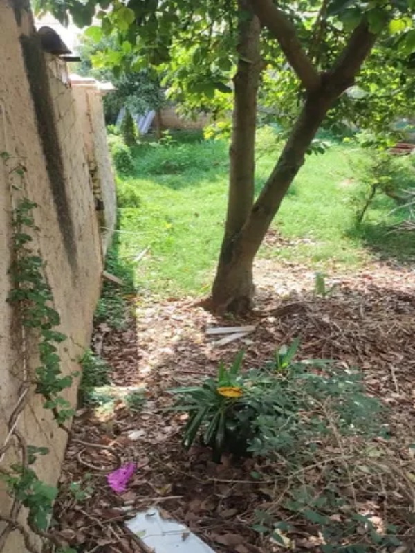 Terreno, 400 m² - Foto 9