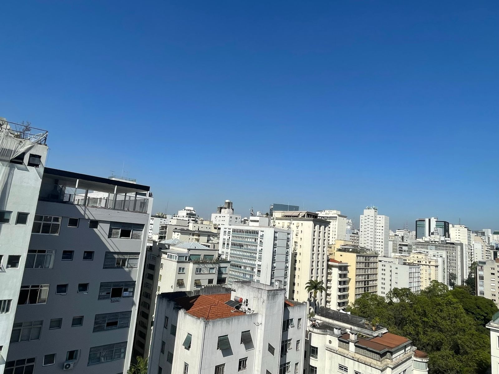 Apartamento à venda com 3 quartos, 230m² - Foto 8