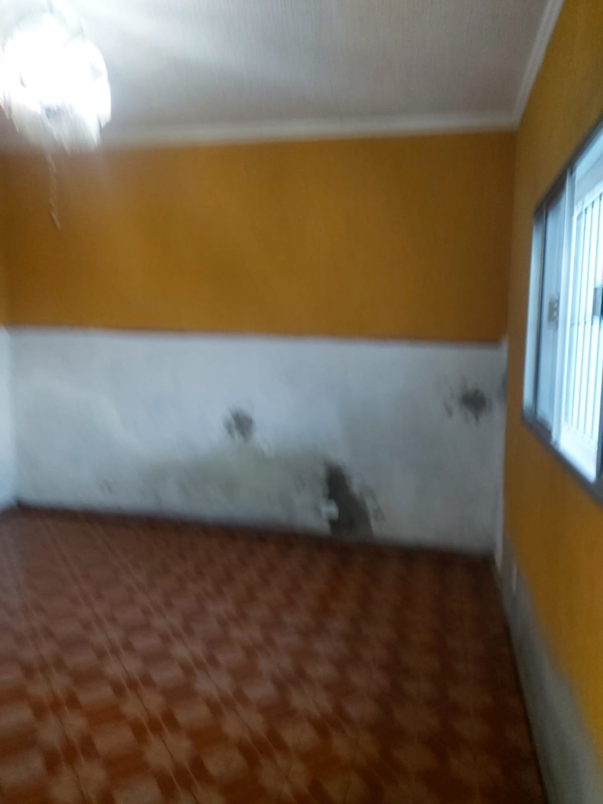 Casa à venda com 5 quartos, 80m² - Foto 15