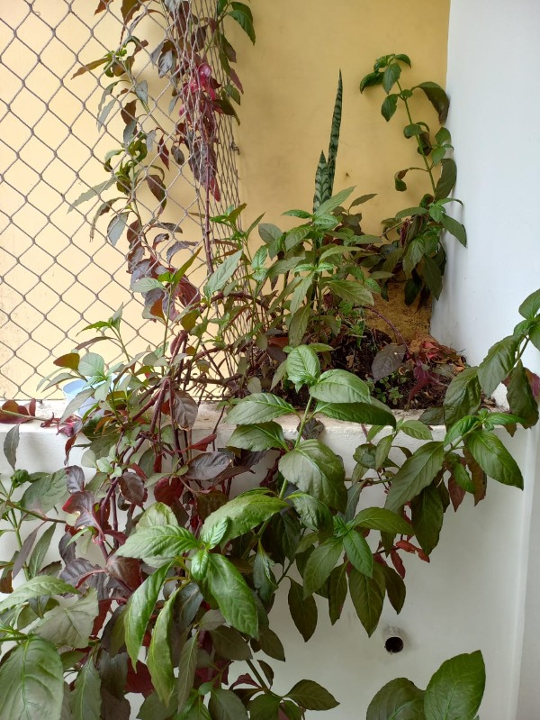 Apartamento, 1 quarto, 37 m² - Foto 9