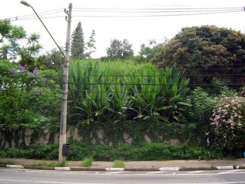 Terreno à venda, 760m² - Foto 4