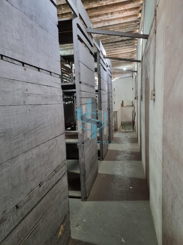 Prédio Inteiro, 1000 m² - Foto 9