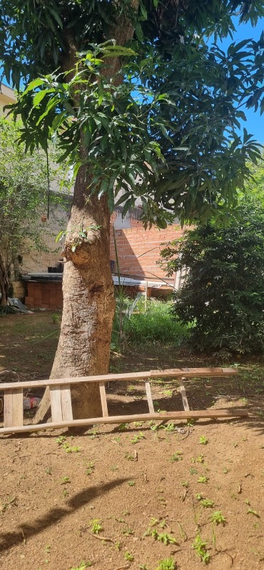Terreno à venda, 450m² - Foto 2