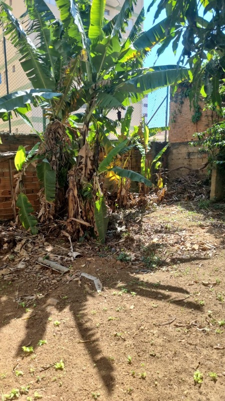 Terreno à venda, 450m² - Foto 7
