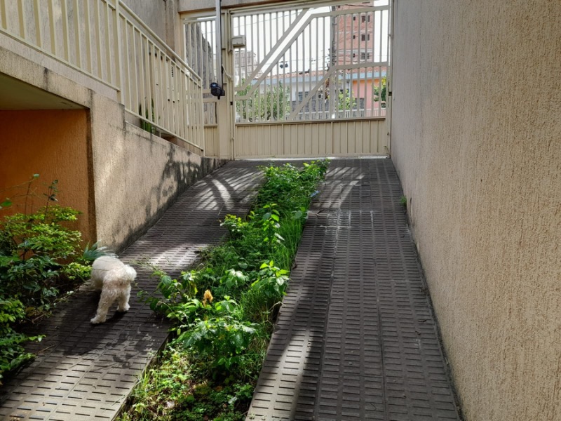 Casa, 3 quartos, 200 m² - Foto 3