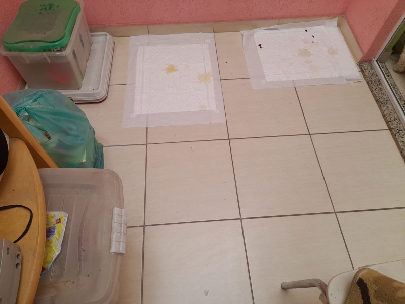 Casa, 3 quartos, 200 m² - Foto 37